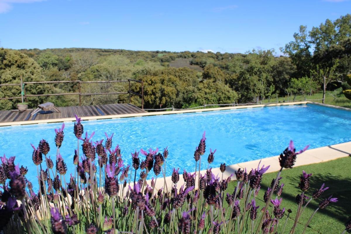 Quinta Da Devesa -B2 Hotel Виняйс Екстериор снимка
