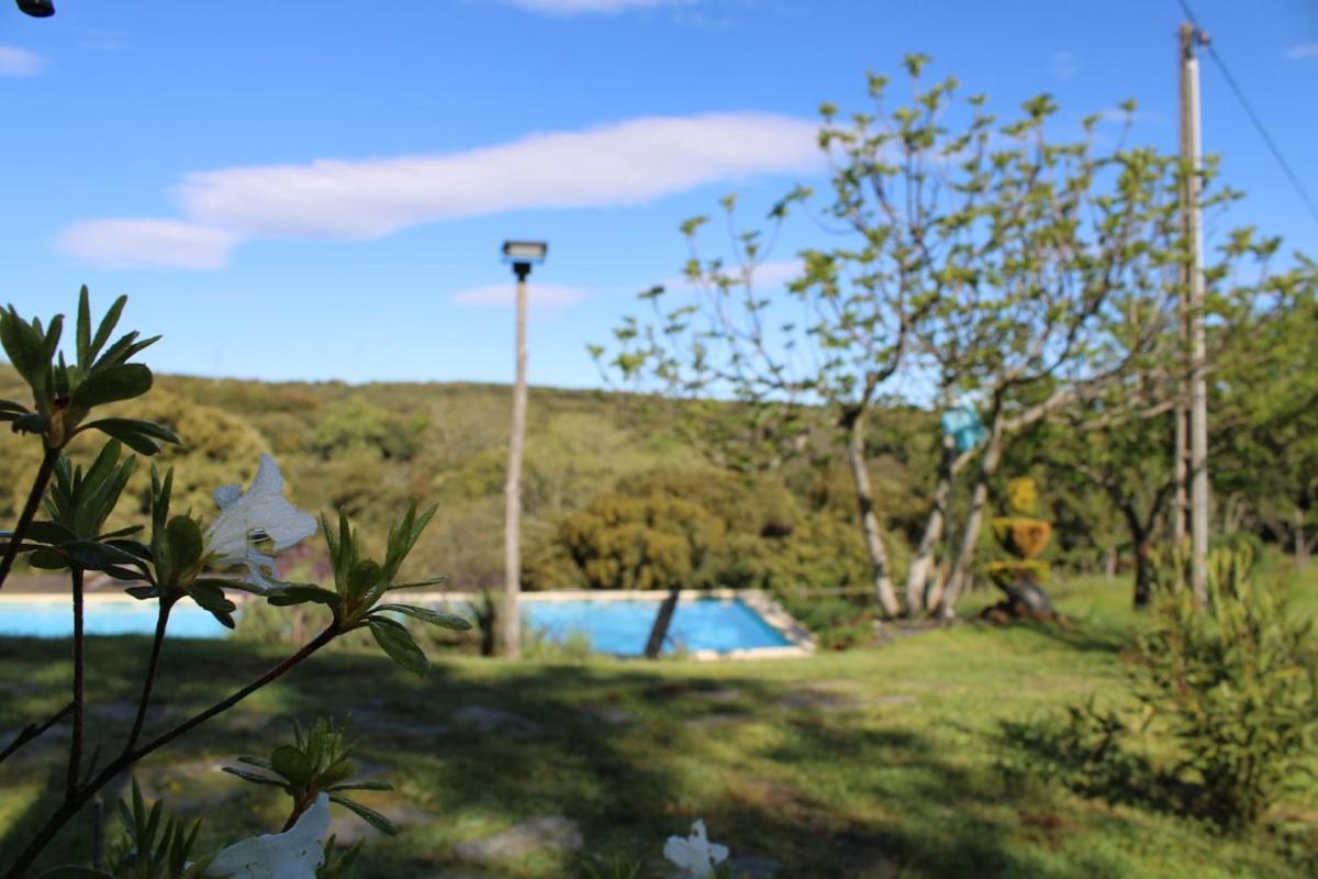 Quinta Da Devesa -B2 Hotel Виняйс Екстериор снимка
